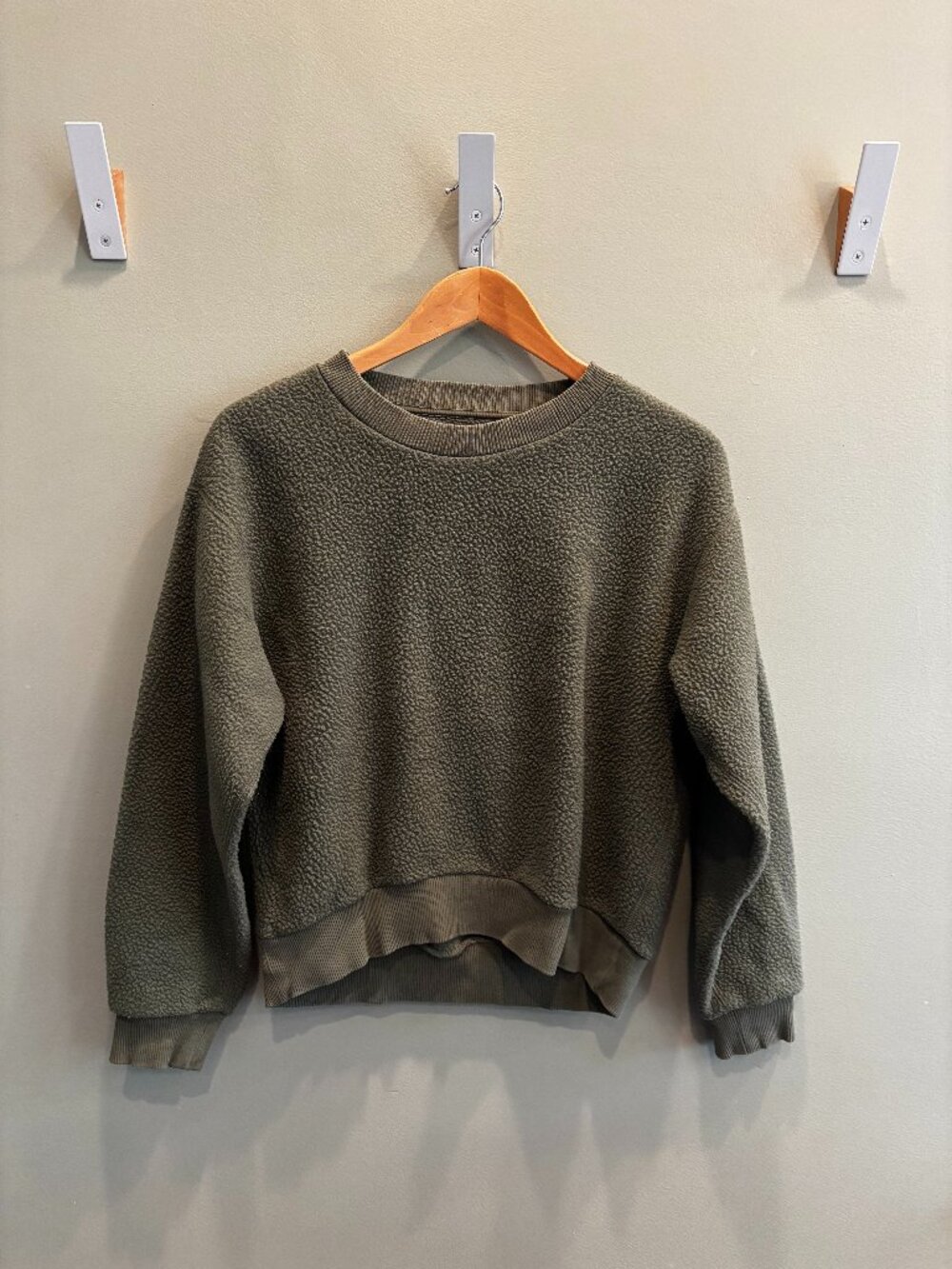 Everlane Teddy Sweatshirt